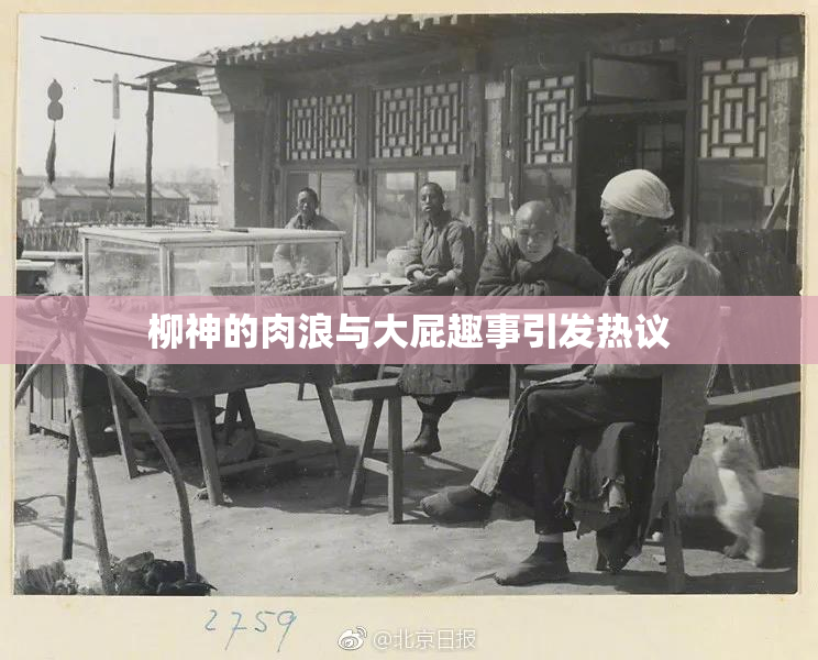 柳神的肉浪与大屁趣事引发热议