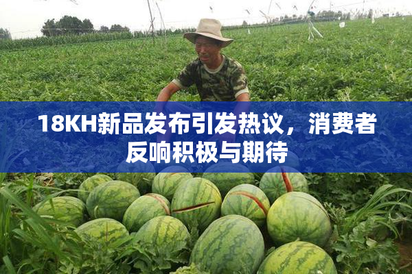 18KH新品发布引发热议，消费者反响积极与期待