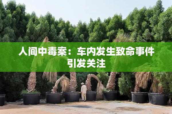 人间中毒案：车内发生致命事件引发关注