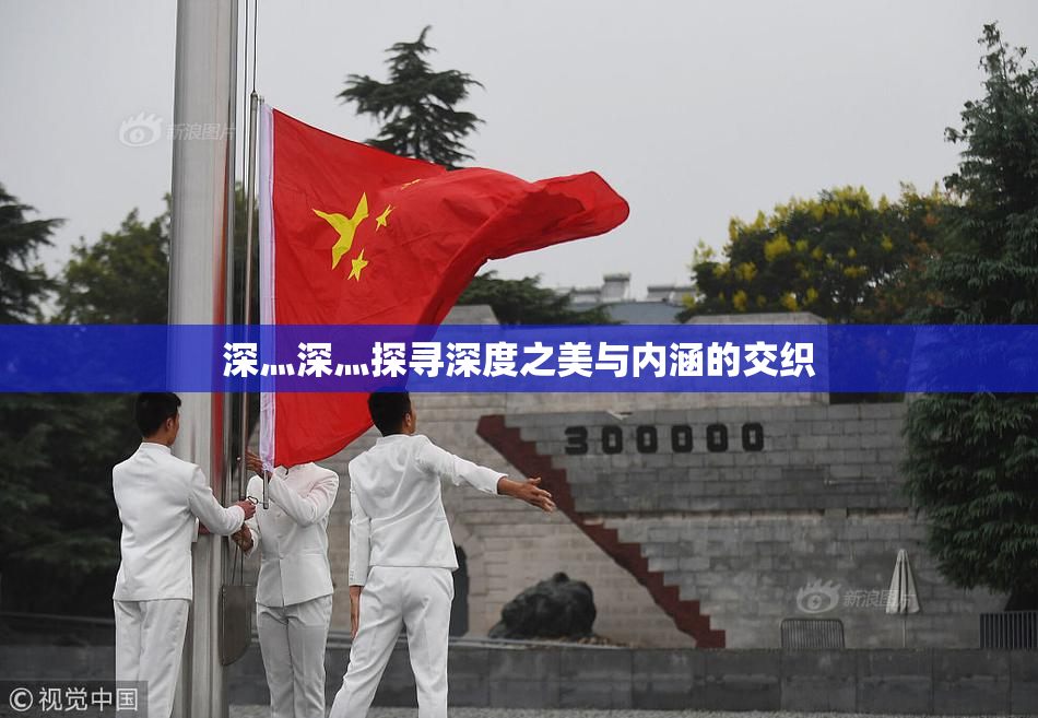 深灬深灬探寻深度之美与内涵的交织