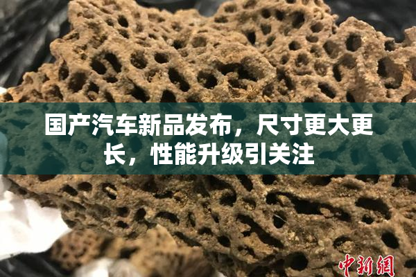 国产汽车新品发布，尺寸更大更长，性能升级引关注