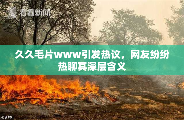 久久毛片www引发热议，网友纷纷热聊其深层含义