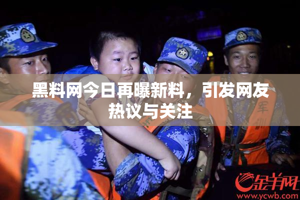 黑料网今日再曝新料，引发网友热议与关注