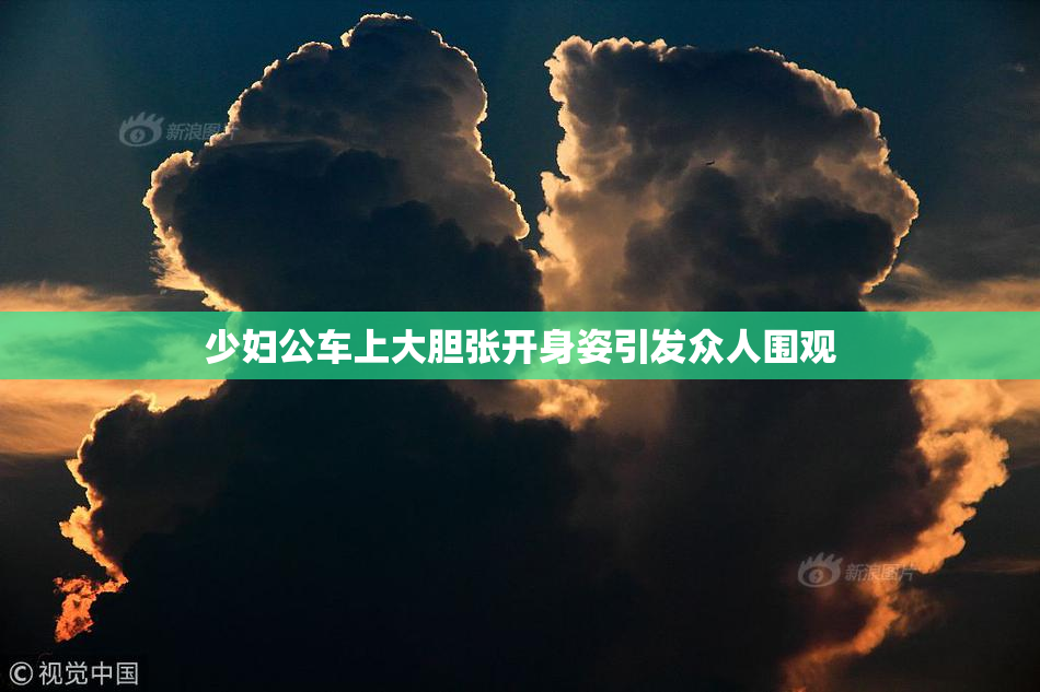 少妇公车上大胆张开身姿引发众人围观