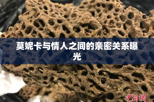 莫妮卡与情人之间的亲密关系曝光