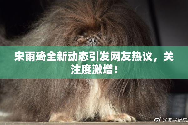 宋雨琦全新动态引发网友热议，关注度激增！