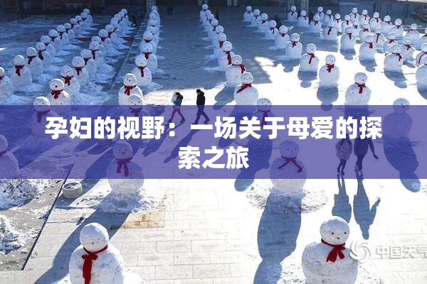 孕妇的视野：一场关于母爱的探索之旅