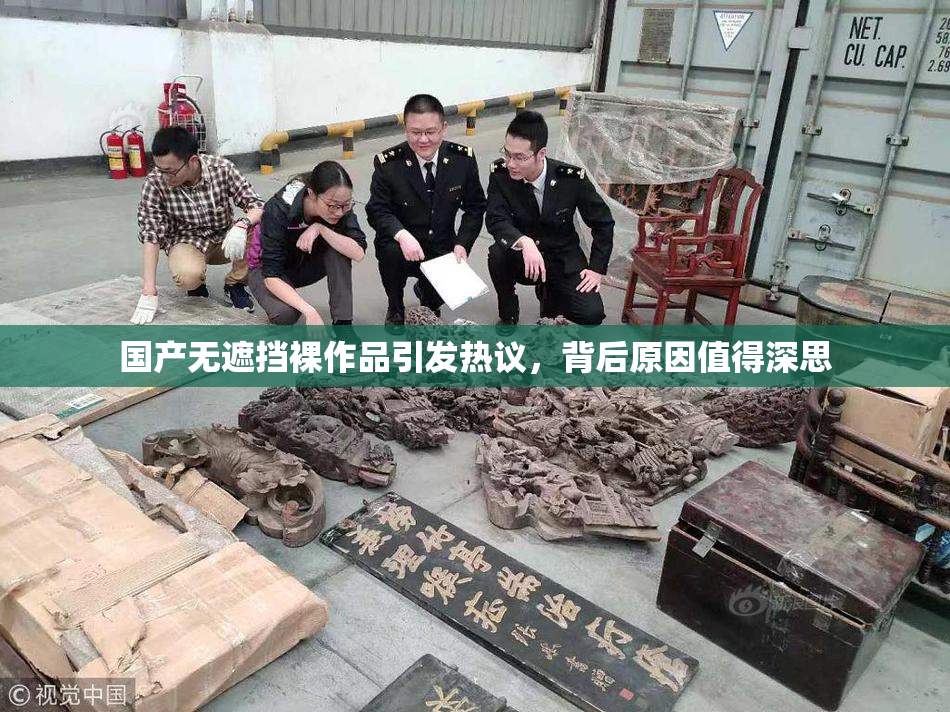 国产无遮挡裸作品引发热议，背后原因值得深思