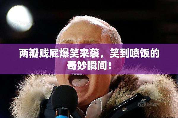 两瓣贱屁爆笑来袭，笑到喷饭的奇妙瞬间！