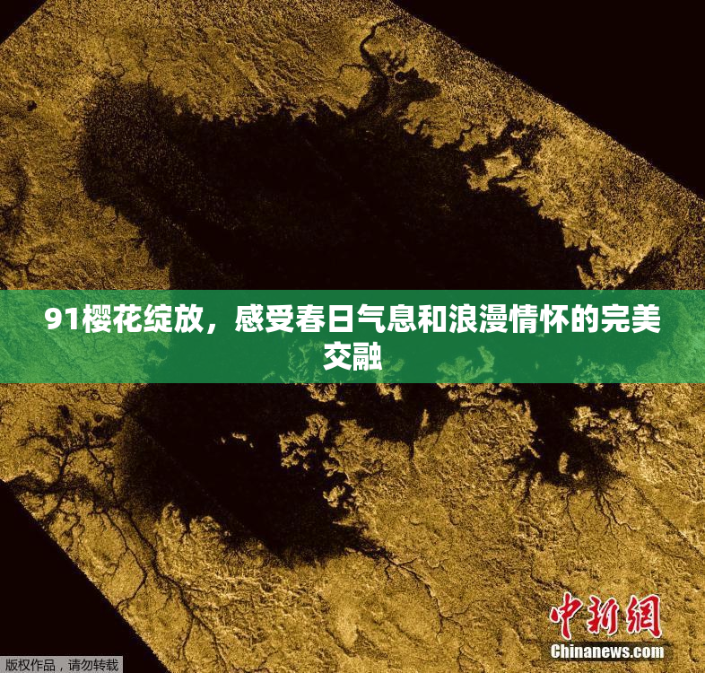 91樱花绽放，感受春日气息和浪漫情怀的完美交融