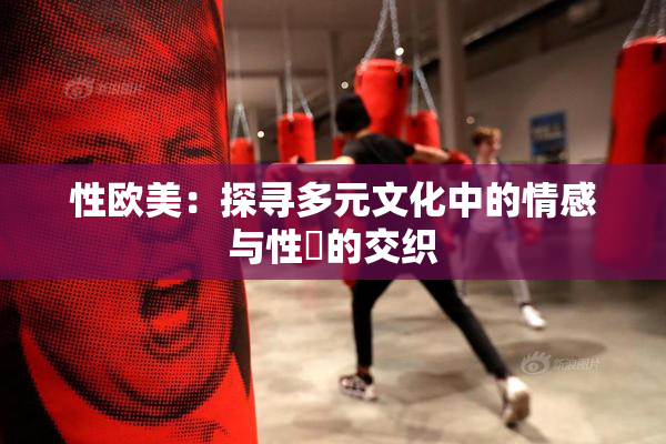 性欧美：探寻多元文化中的情感与性愛的交织