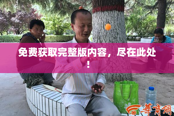 免费获取完整版内容，尽在此处！