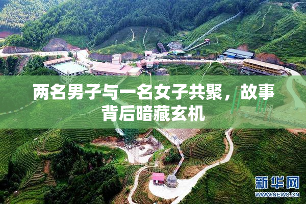 两名男子与一名女子共聚，故事背后暗藏玄机