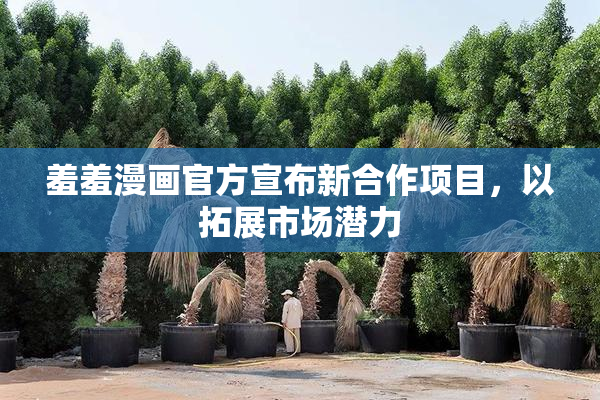 羞羞漫画官方宣布新合作项目，以拓展市场潜力