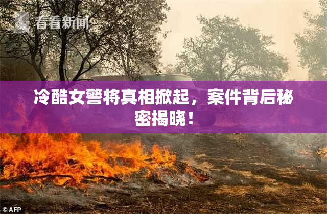 冷酷女警将真相掀起，案件背后秘密揭晓！