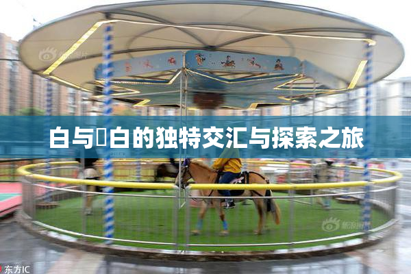 白与晄白的独特交汇与探索之旅