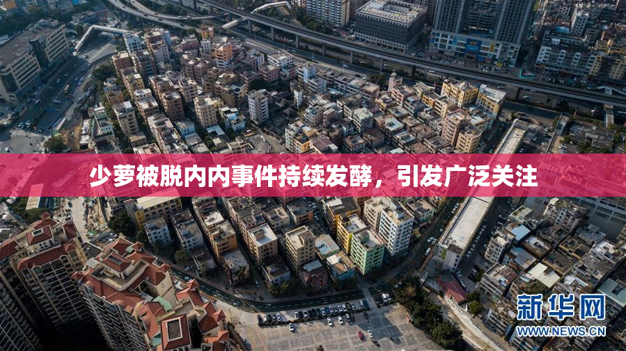 少萝被脱内内事件持续发酵，引发广泛关注