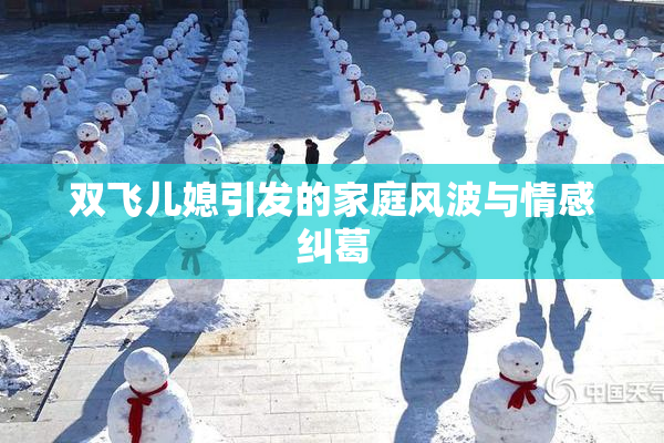 双飞儿媳引发的家庭风波与情感纠葛