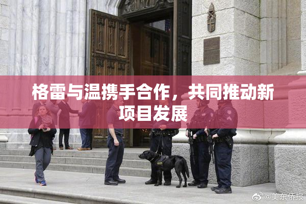 格雷与温携手合作，共同推动新项目发展