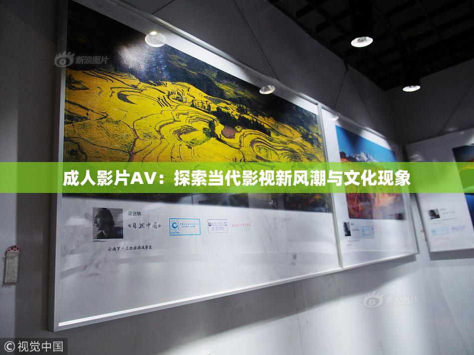 成人影片AV：探索当代影视新风潮与文化现象