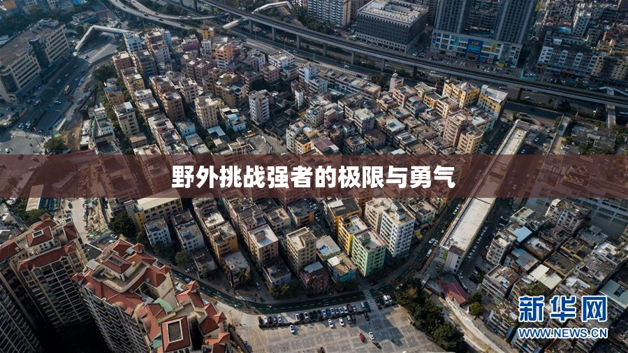 野外挑战强者的极限与勇气