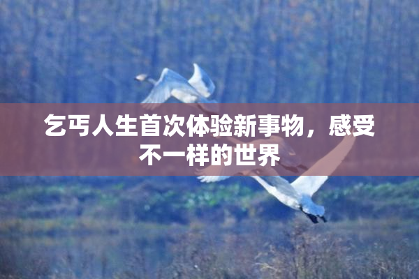 乞丐人生首次体验新事物，感受不一样的世界