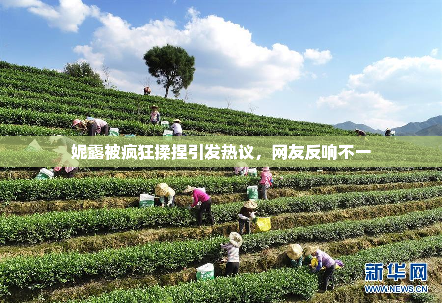 妮露被疯狂揉捏引发热议，网友反响不一