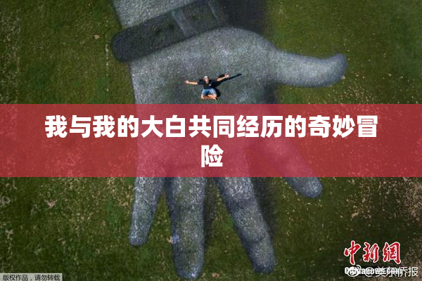 我与我的大白共同经历的奇妙冒险