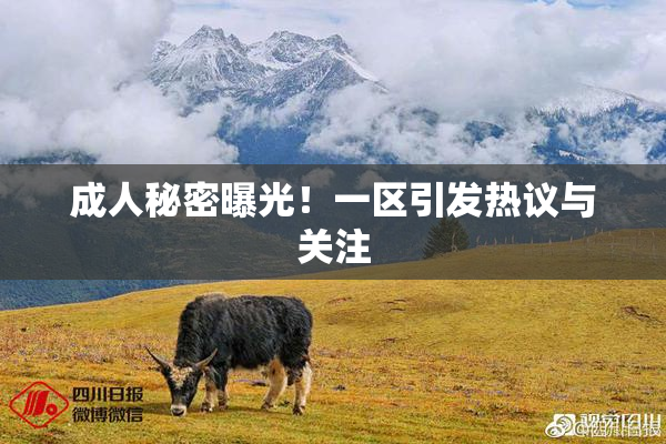成人秘密曝光！一区引发热议与关注