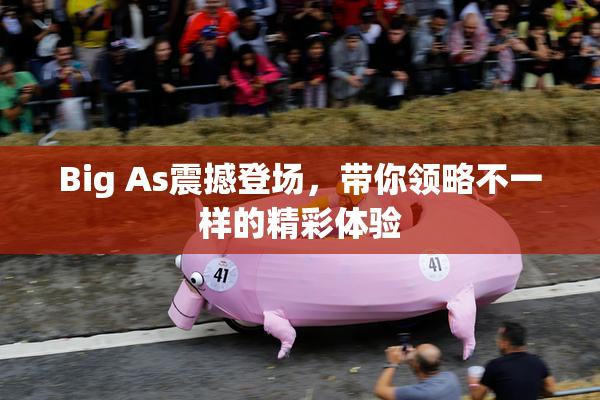 Big As震撼登场，带你领略不一样的精彩体验