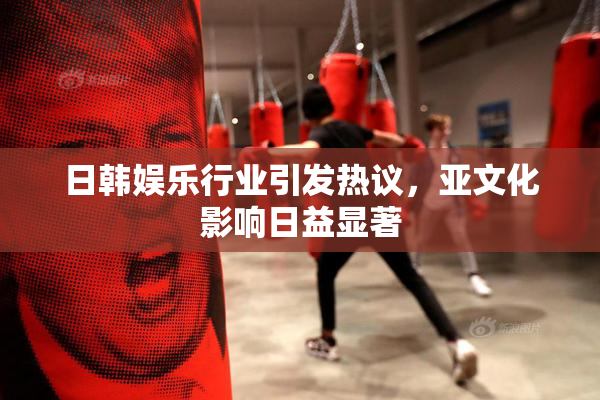 日韩娱乐行业引发热议，亚文化影响日益显著
