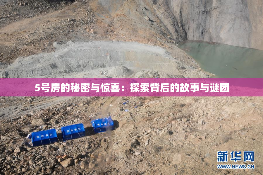 5号房的秘密与惊喜：探索背后的故事与谜团