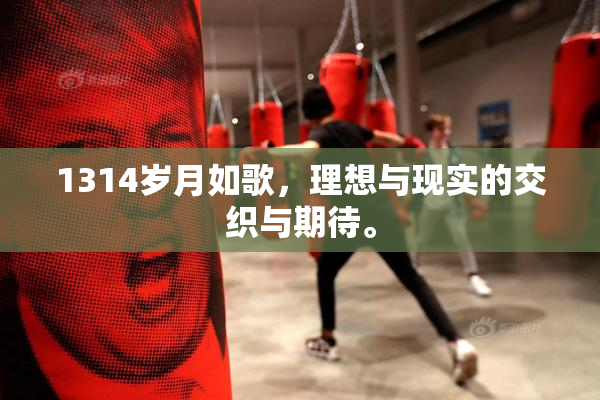 1314岁月如歌，理想与现实的交织与期待。