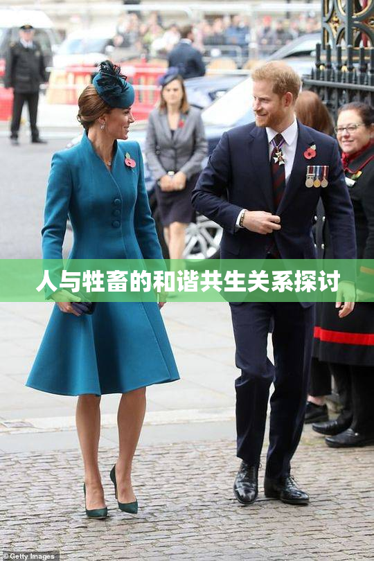 人与牲畜的和谐共生关系探讨