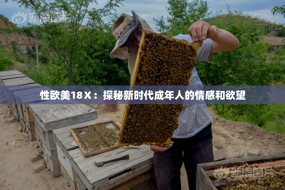 性欧美18Ⅹ：探秘新时代成年人的情感和欲望