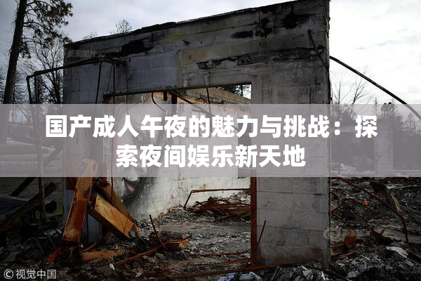 国产成人午夜的魅力与挑战：探索夜间娱乐新天地