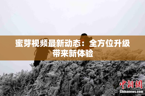 蜜芽视频最新动态：全方位升级带来新体验