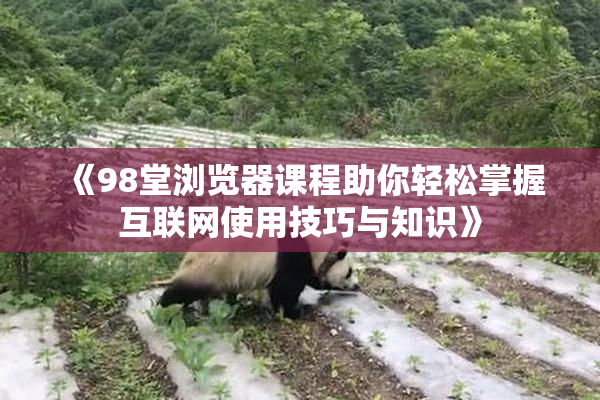 《98堂浏览器课程助你轻松掌握互联网使用技巧与知识》