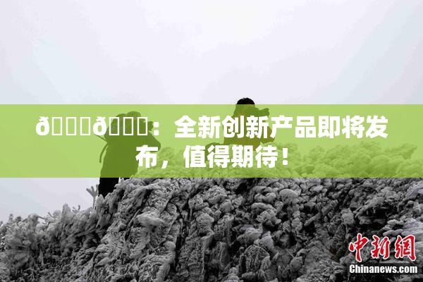 🐔🐔：全新创新产品即将发布，值得期待！