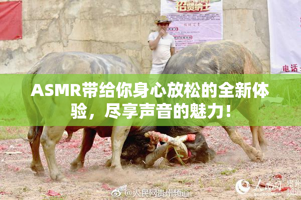 ASMR带给你身心放松的全新体验，尽享声音的魅力！