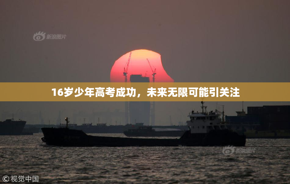 16岁少年高考成功，未来无限可能引关注