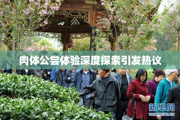 肉体公尝体验深度探索引发热议