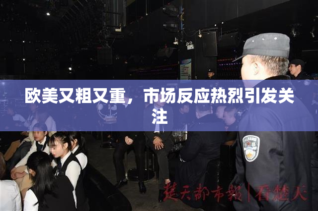 欧美又粗又重，市场反应热烈引发关注