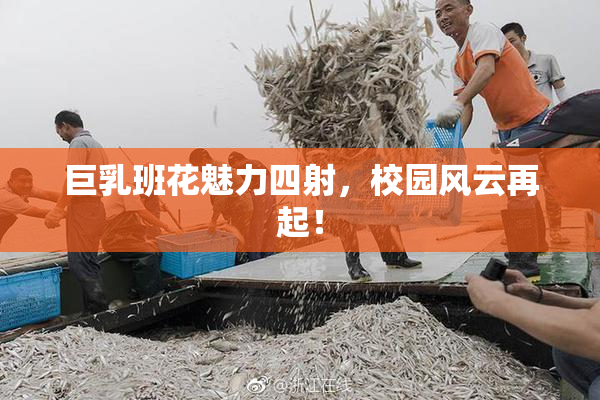 巨乳班花魅力四射，校园风云再起！