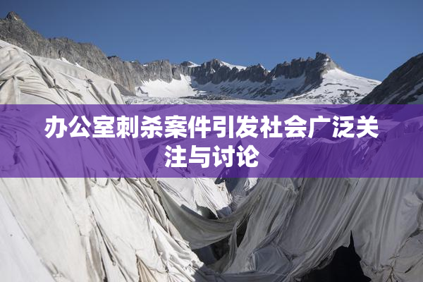 办公室刺杀案件引发社会广泛关注与讨论