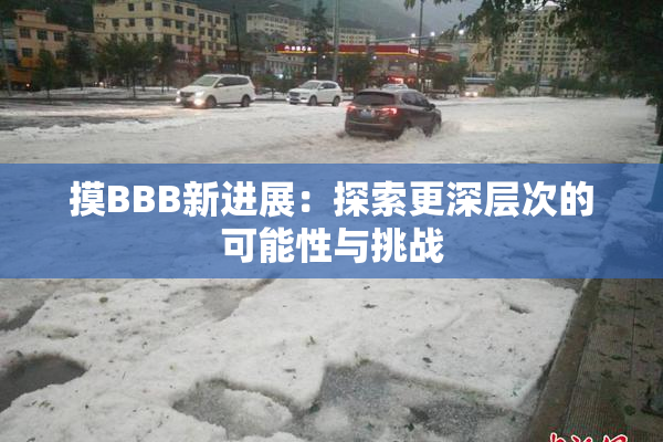 摸BBB新进展：探索更深层次的可能性与挑战