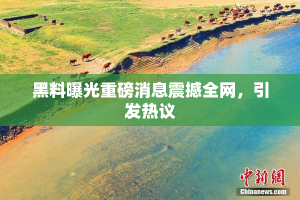 黑料曝光重磅消息震撼全网，引发热议
