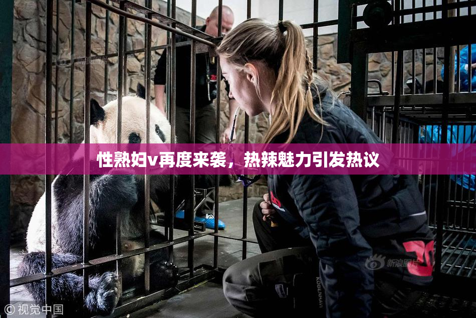 性熟妇v再度来袭，热辣魅力引发热议