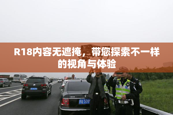 R18内容无遮掩，带您探索不一样的视角与体验