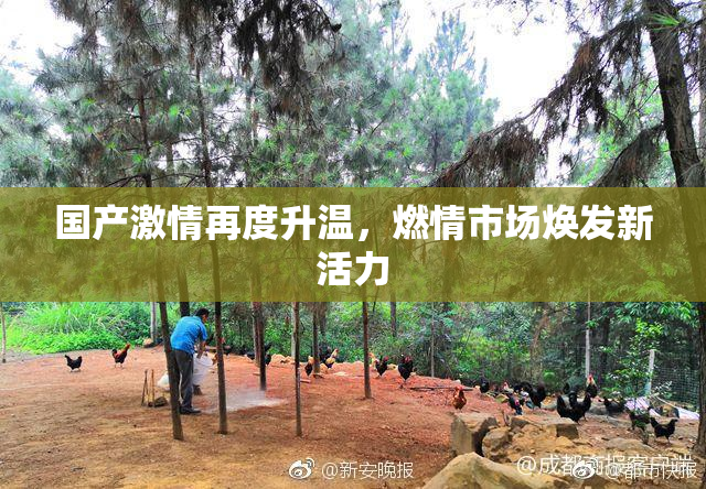 国产激情再度升温，燃情市场焕发新活力